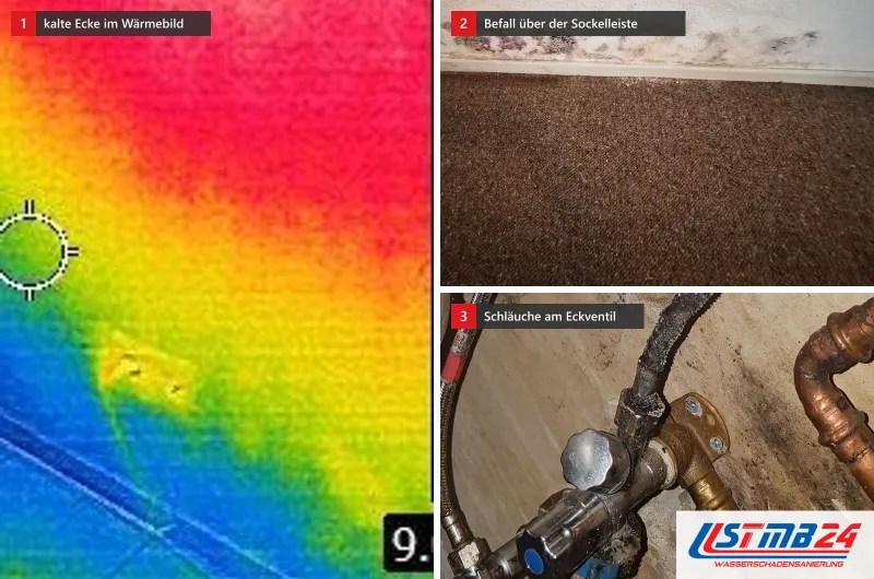 Drei Bilder: ein Wärmebild mit kalter Raumecke, violett schwarzer Befall über der Sockelleiste und verschimmelte Schläuche an einem Eckventil