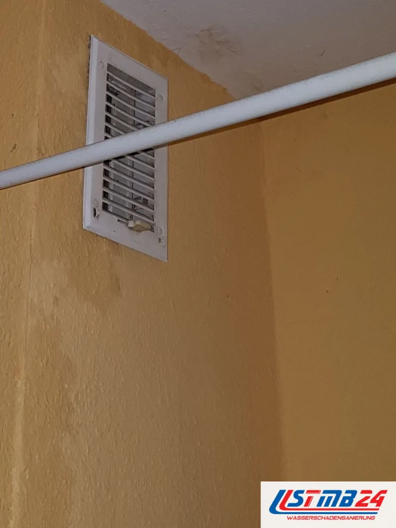 Lüftungsgitter in einer gelb gestrichenen Badwand, davor die Duschstange