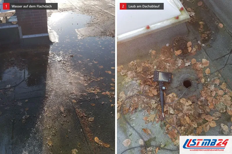 Zwei Bilder: stehendes Wasser auf einem Flachdach und ein Dachablauf zwischen Laub, daneben ein Endoskop