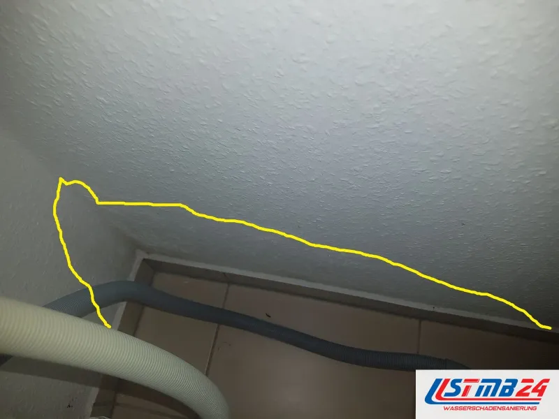 Raufaser an Decke und Wand, die feuchte Fläche gelb umrandet, darunter zwei Trocknungsschläuche entlang der Fußleiste