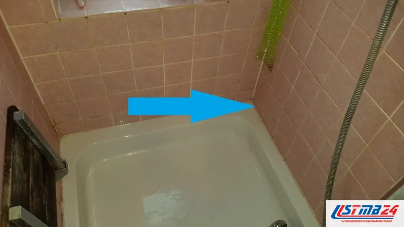 Duschtasse in einem Bad mit rosa Fliesen, ein blauer Pfeil zeigt auf die Eckfuge über dem Rand, daneben der Duschschlauch