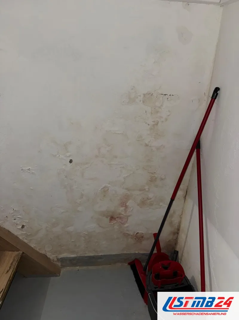 Abstellraum mit fleckiger Wand, Schimmelflecken und Salzrändern bis auf Hüfthöhe, in der Ecke Besen und Wischeimer