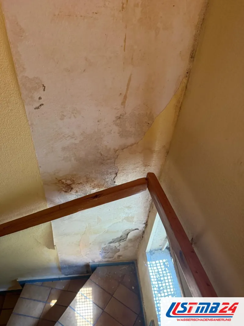 Treppenhaus mit Holzhandlauf und Glasbausteinfenster, die Wand über dem Lauf mit Wasserrändern, abgelöster Farbe und Schimmelflecken
