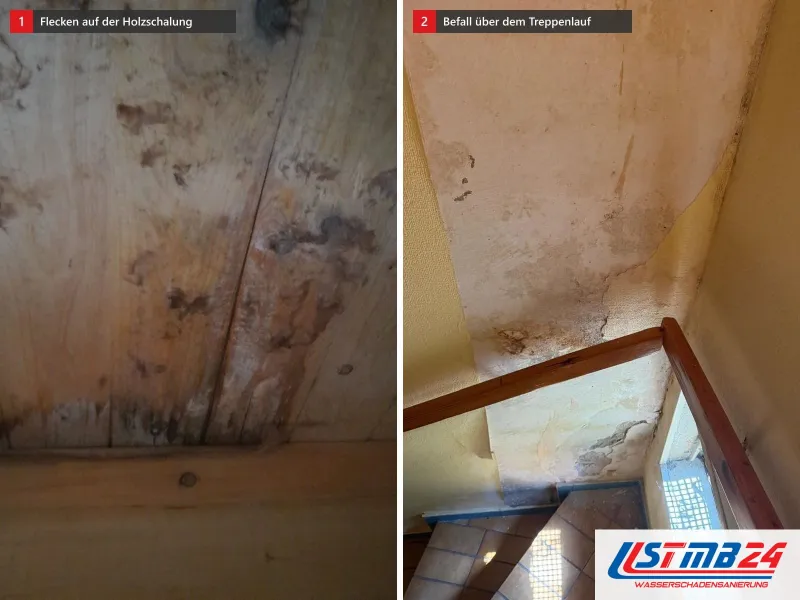 Zwei Ansichten: Holzschalung mit braunen und schwarzen Flecken, daneben Treppenhaus mit Holzhandlauf und Wand mit Wasserrändern und Schimmelflecken