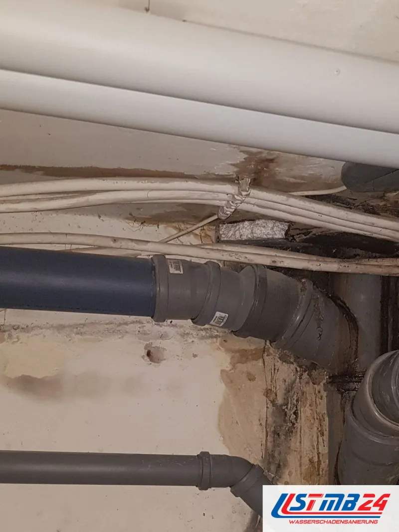 Kellerecke von nah: ein Kabelbündel unter der Decke, darunter Abwasserrohre und dunkle Spuren an der Wand