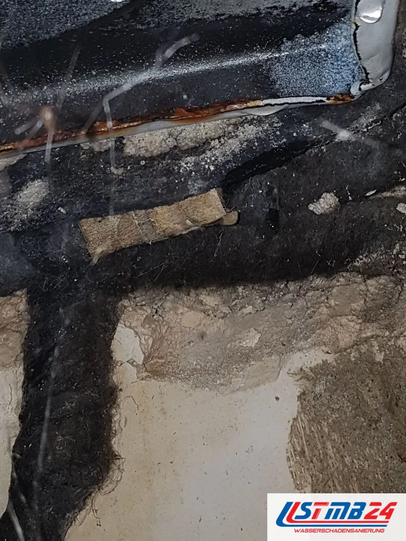 Schwarzer Schimmel auf einer Wandfläche mit Putzresten, nah aufgenommen