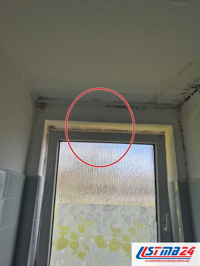 Bad mit Schimmel in der Fensterlaibung und an der Deckenkante über türkisen Fliesen, ein roter Kreis markiert die Stelle