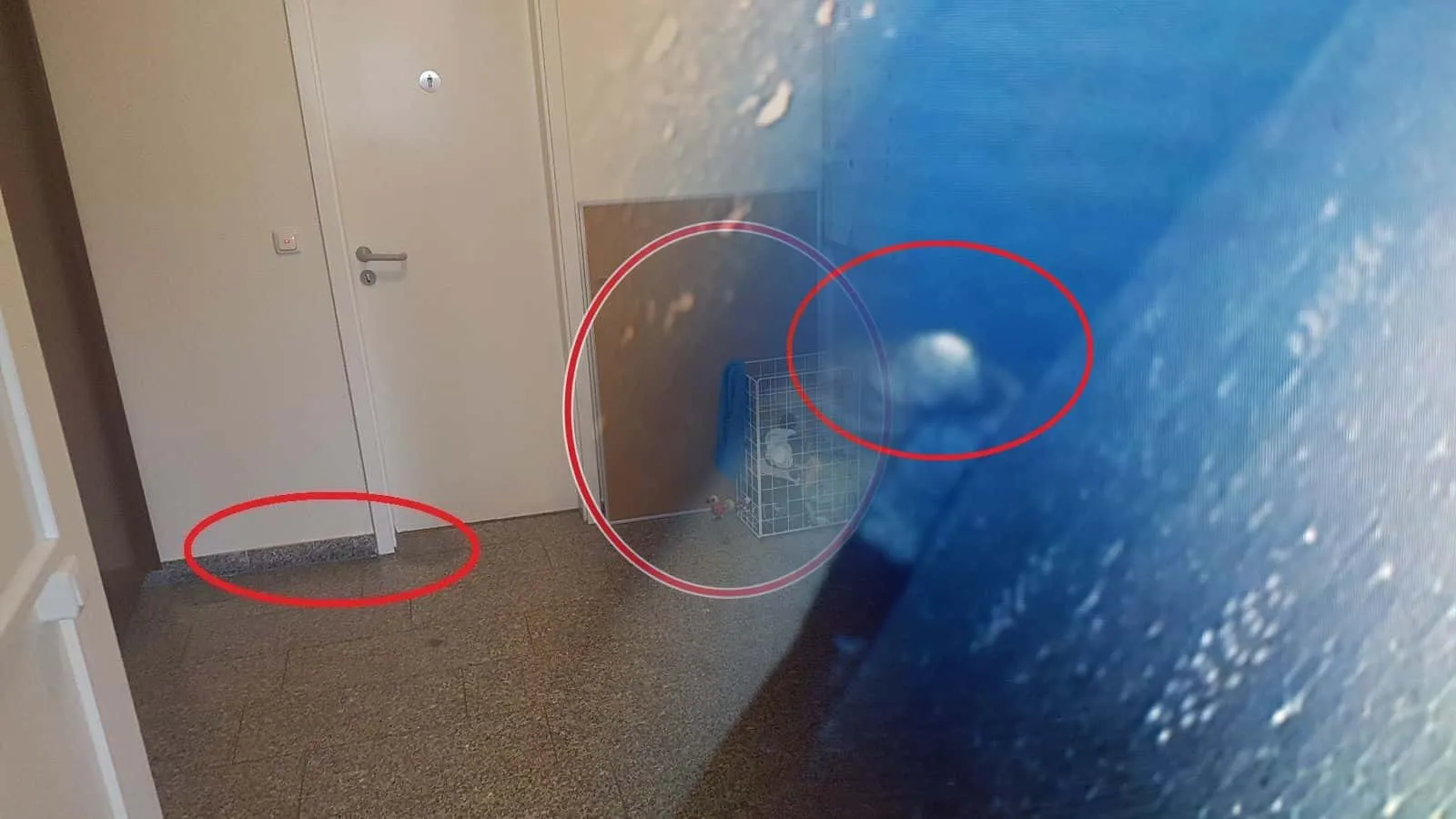 Endoskopbild mit einem rot umkreisten Wassertropfen