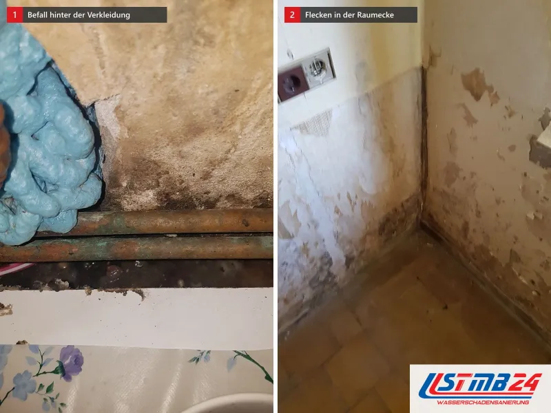 Zwei Ansichten: Wand hinter einer abgenommenen Verkleidung mit Kupferrohren und Schimmel, daneben Raumecke mit abgeplatzter Farbe und Flecken