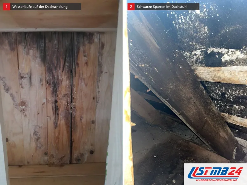 Zwei Ansichten: Holzschalung mit dunklen Wasserläufen und Schimmel, daneben Dachstuhl mit schwarz verfärbten Sparren und Brettern