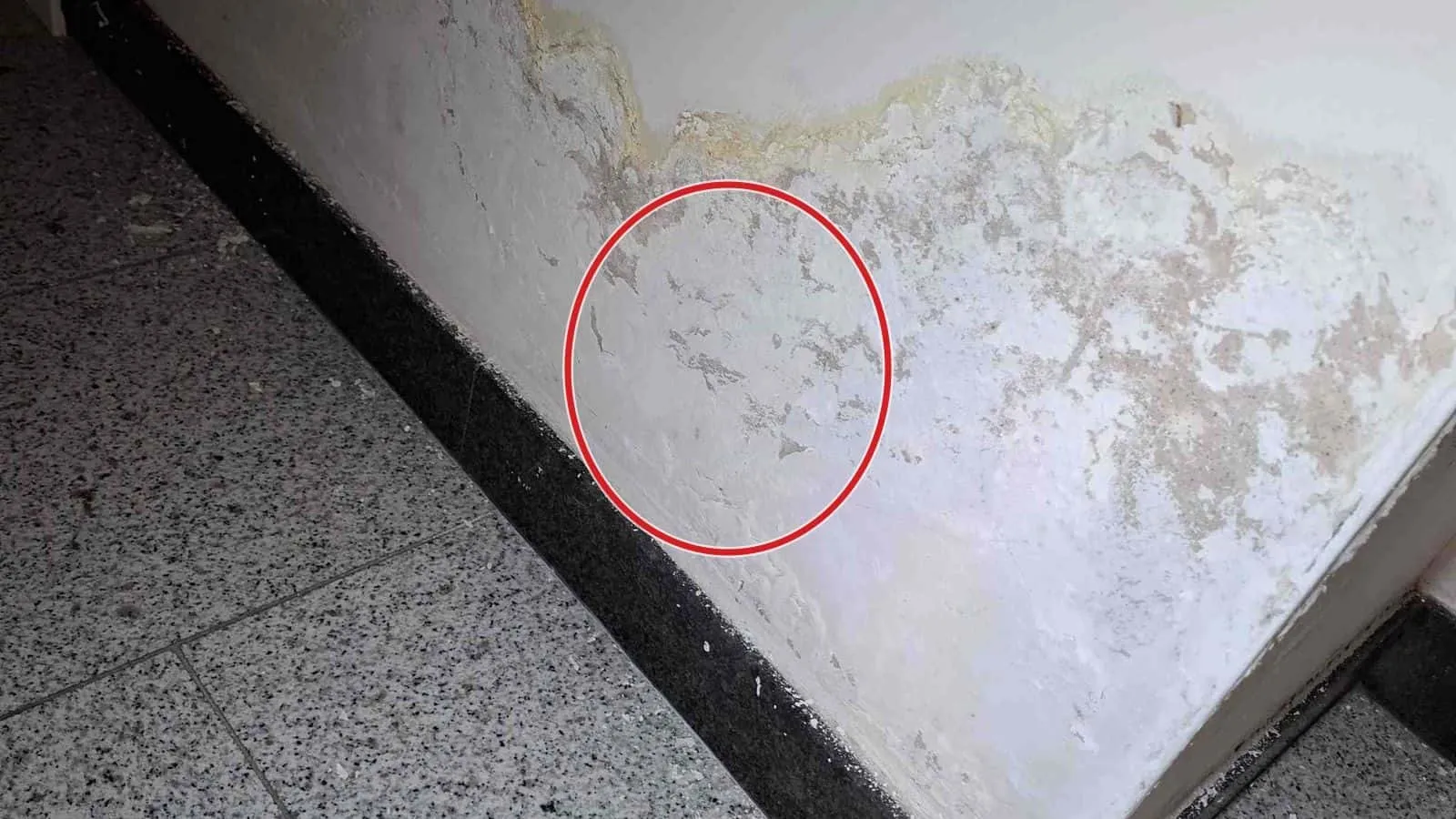 Wandfuß über dunklem Sockel mit abgeplatzter Farbe und weißen Salzausblühungen, davor gesprenkelte Bodenfliesen, ein roter Kreis markiert die Stelle