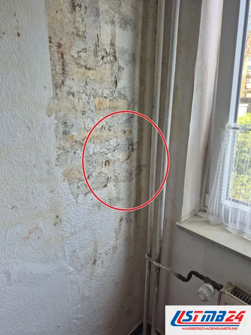 Wand neben dem Fenster mit abgeplatztem Putz über dem Heizkörper, ein roter Kreis markiert die Stelle