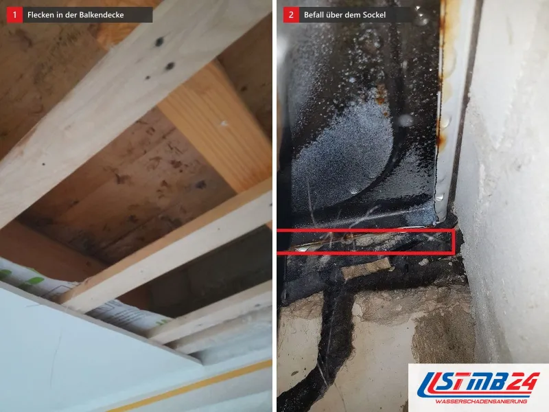 Zwei Ansichten: offene Holzbalkendecke mit dunklen Flecken, daneben schwarzer Schimmel an der Wand, rot eingerahmt der Sockel