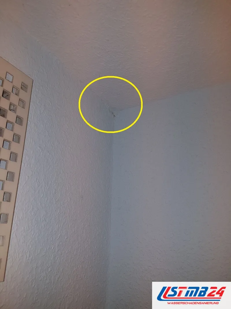 Raumecke, an der Decke ein gelb umkreister Fleck