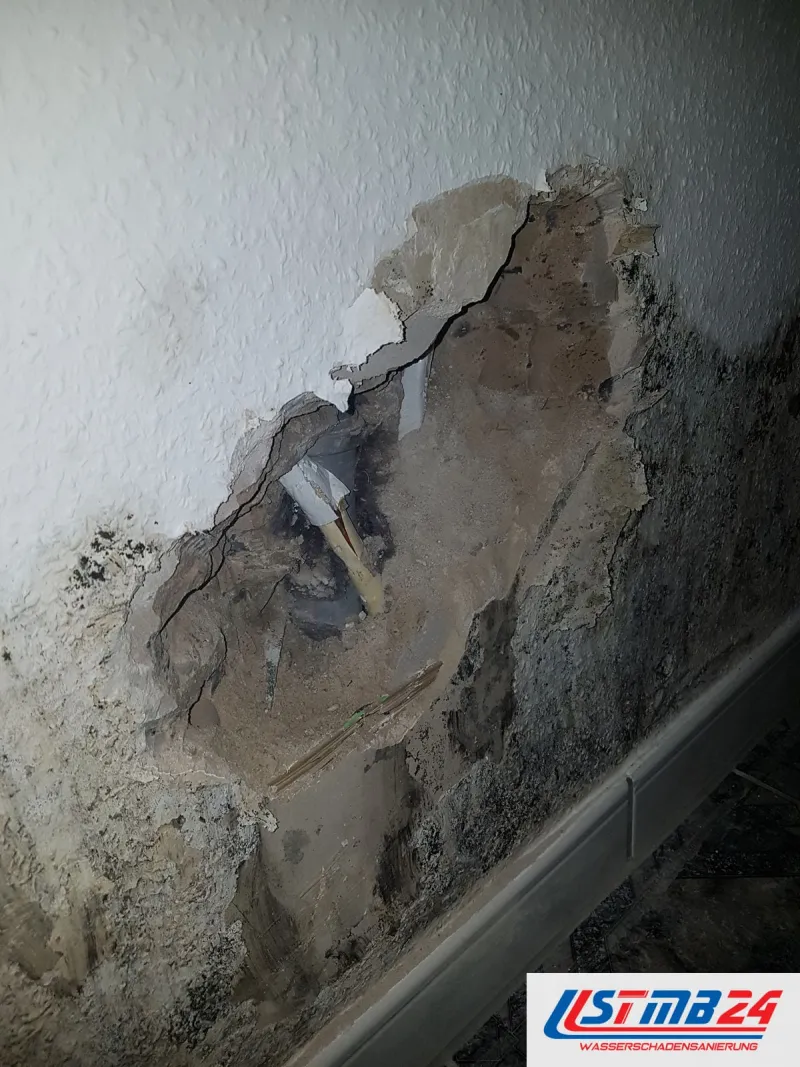 Aufgestemmte Wand über der Sockelleiste, ringsum schwarzer Schimmel auf Putz und Mauerwerk