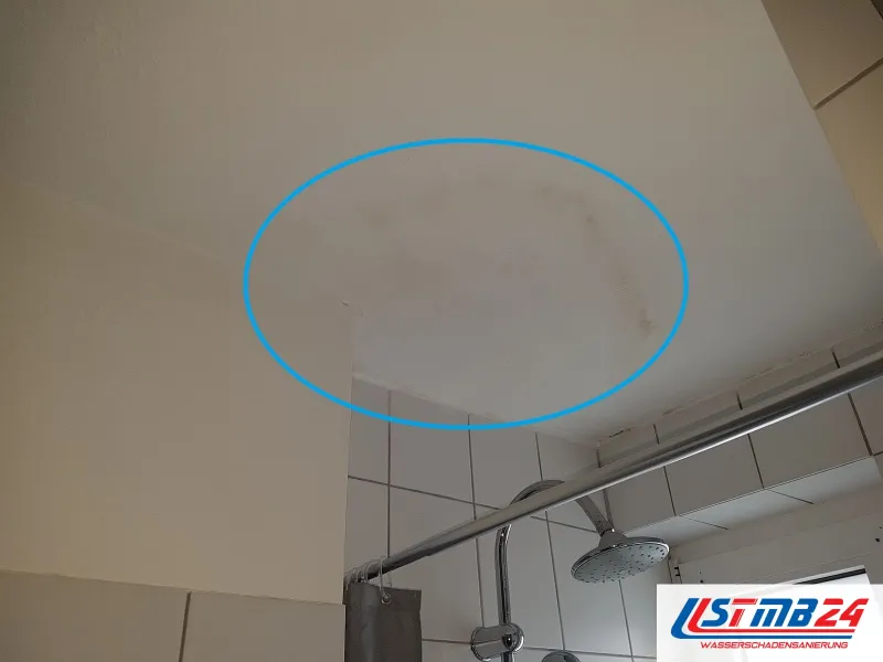 Baddecke über einer Dusche mit Regenbrause, blau umkreist eine feuchte Stelle