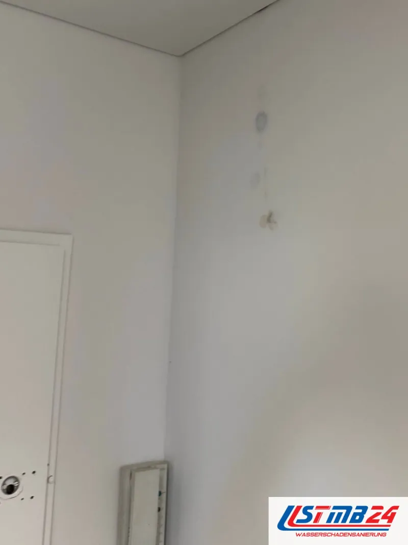 Kleine dunkle Schimmelpunkte auf einer hellen Wand an der Wohnungstür