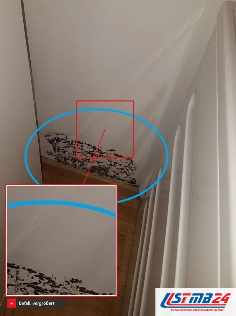 Schwarzer Befall in der Ecke hinter einem Heizkörper über Holzboden, blau eingekreist und vergrößert