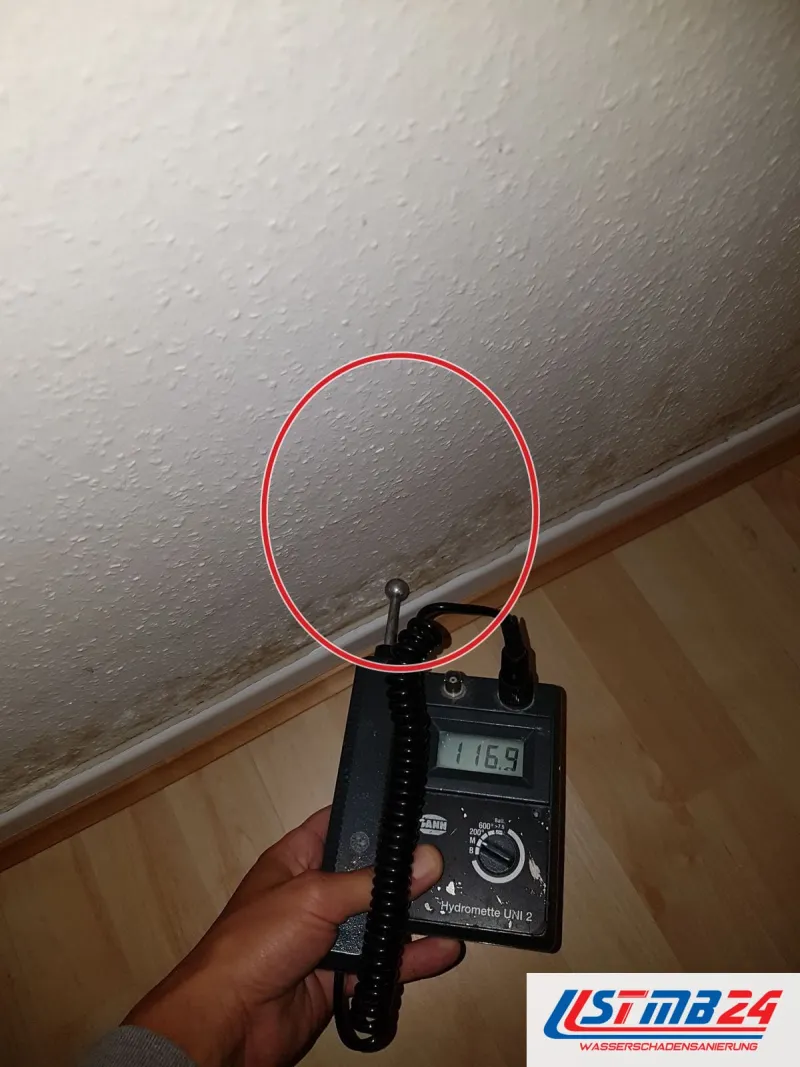 Feuchtemessgerät zeigt 116,9 an einer Wand über Laminat, am Übergang zur Sockelleiste dunkle Flecken, ein roter Kreis markiert die Stelle