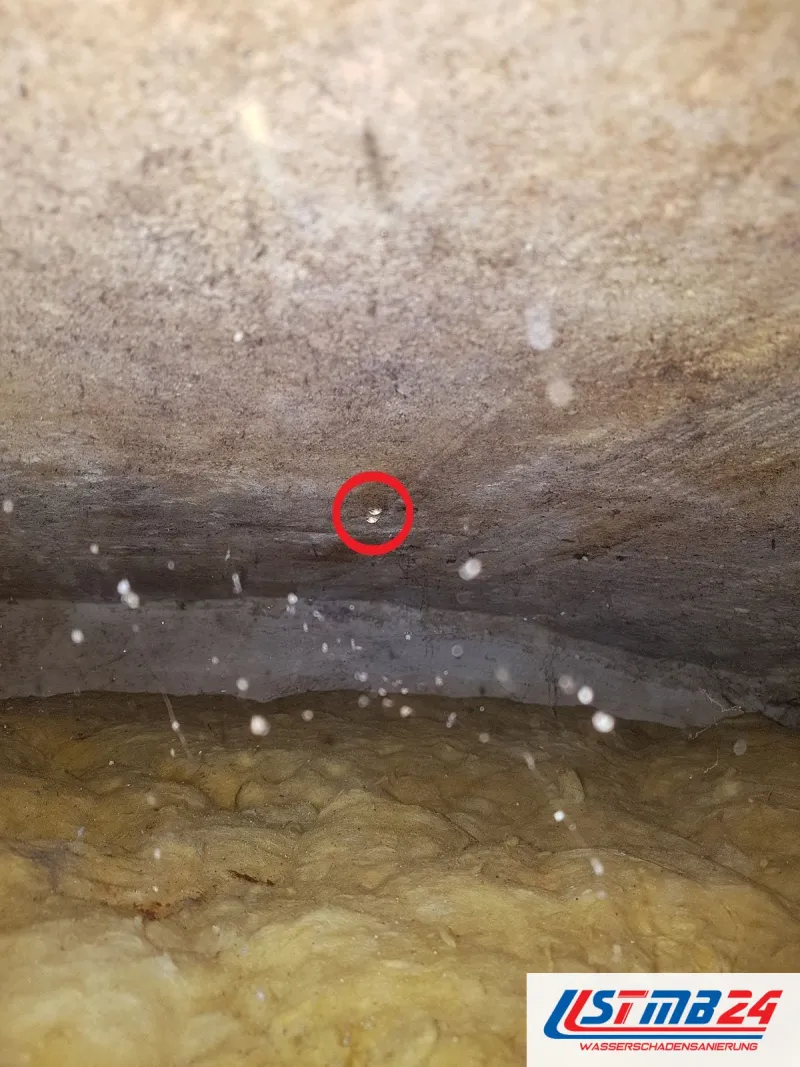 Blick in einen Hohlraum über gelber Dämmung, ein roter Kreis markiert einen hängenden Wassertropfen