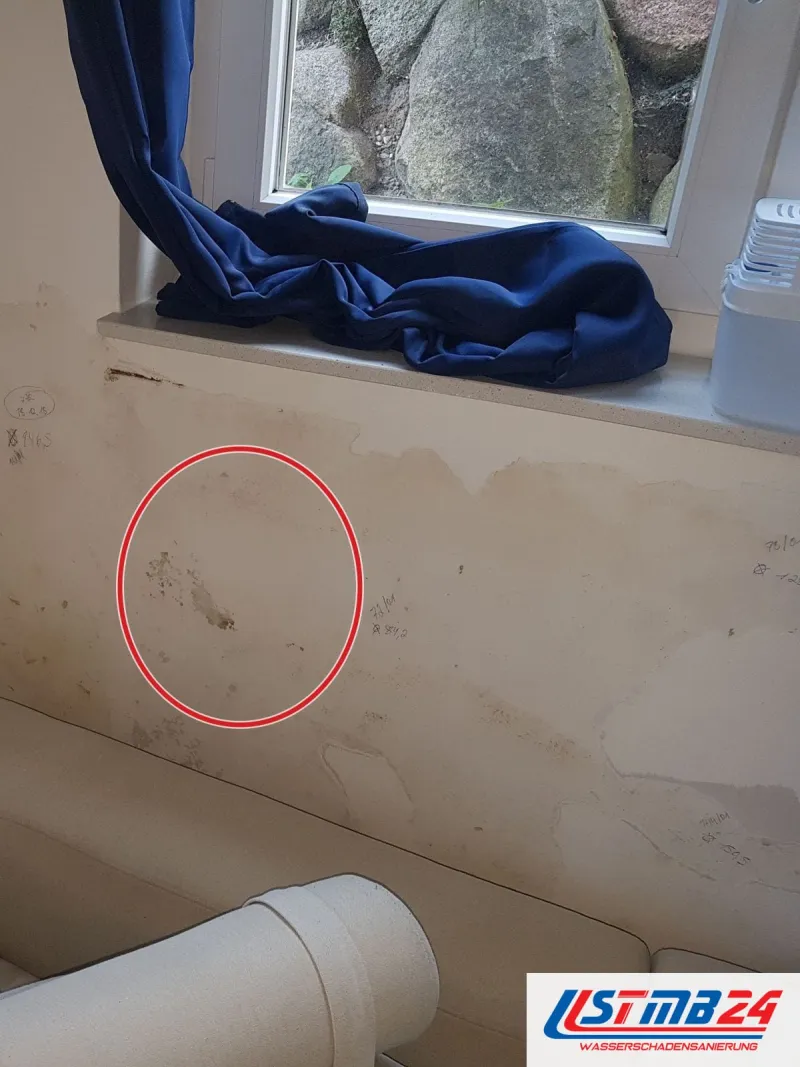 Kellerfenster mit Lichtschacht, darunter eine Wand mit Wasserrändern und abblätternder Farbe, ein roter Kreis markiert die feuchte Fläche