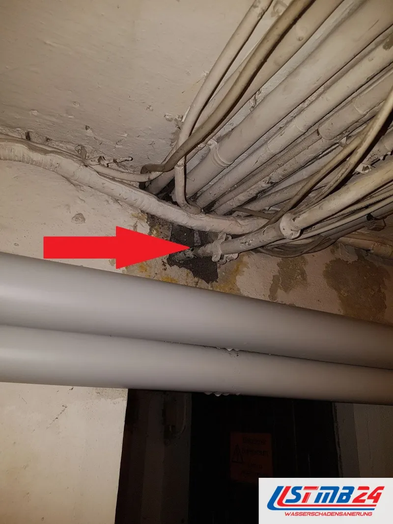 Kabelbündel an einer Kellerdecke, wo es in die Wand führt ist der Putz dunkel und feucht, ein roter Pfeil zeigt darauf