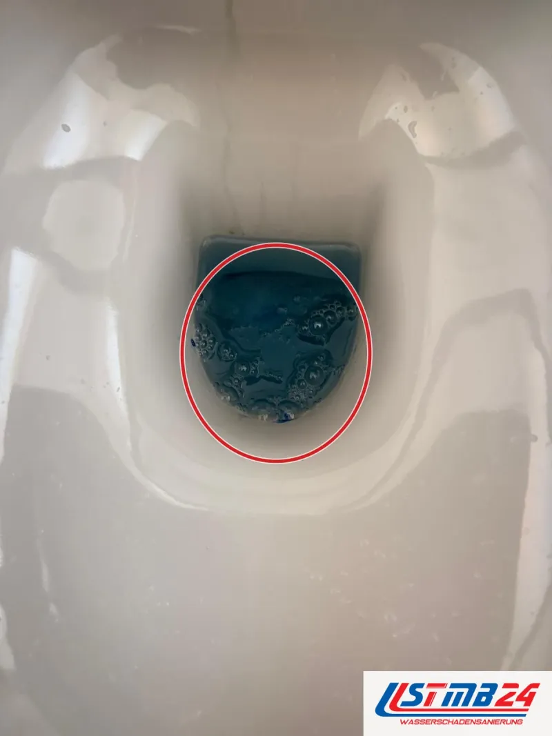 WC mit blau gefärbtem Wasser für den Färbetest, ein roter Kreis markiert die Stelle