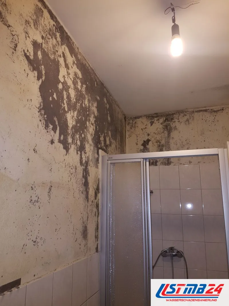 Bad mit großflächig schwarzem Schimmel an Wand und Decke über der Duschkabine, Putz fleckig, nackte Glühbirne an der Decke