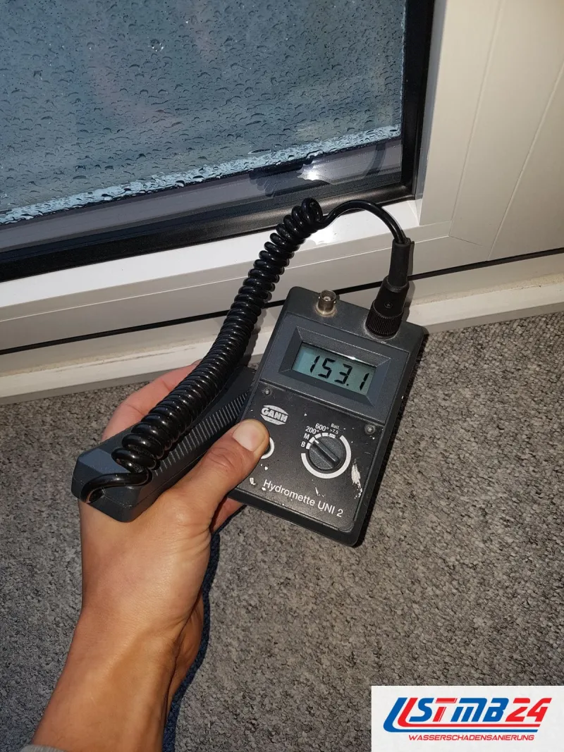 Feuchtemessgerät mit 153,1 unter einem Fenster, dessen Scheibe von innen beschlagen ist, Teppichboden