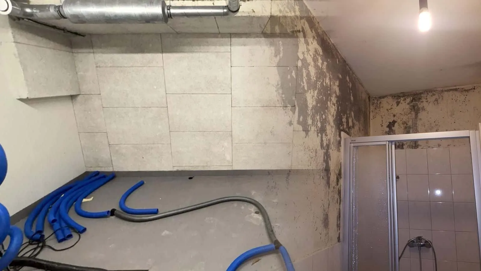 Schimmel an Wand und Decke eines Bades