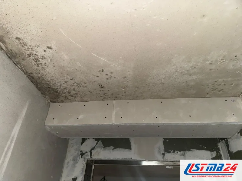 Decke mit dunklen Schimmelpunkten über einem Trockenbaukasten, Gipskartonplatten verschraubt, Türsturz darunter
