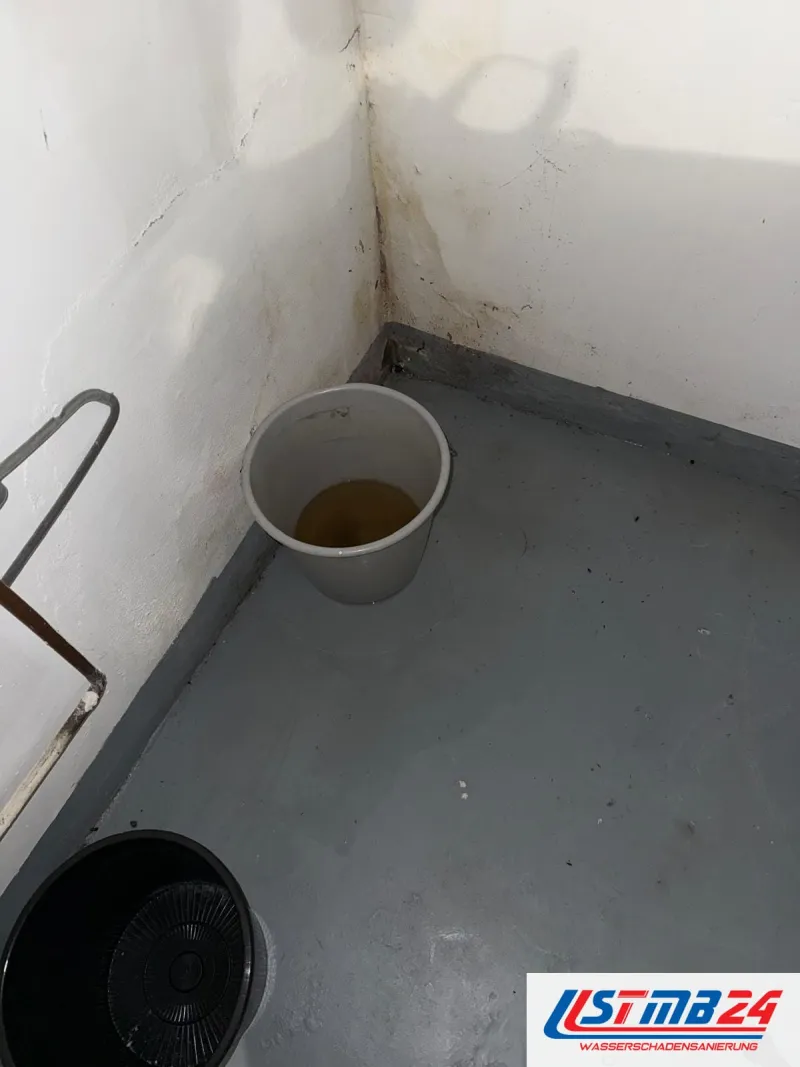 Eimer mit braunem Wasser in einer nassen Kellerecke, die Wände unten dunkel vollgesogen, grauer Anstrich auf dem Boden