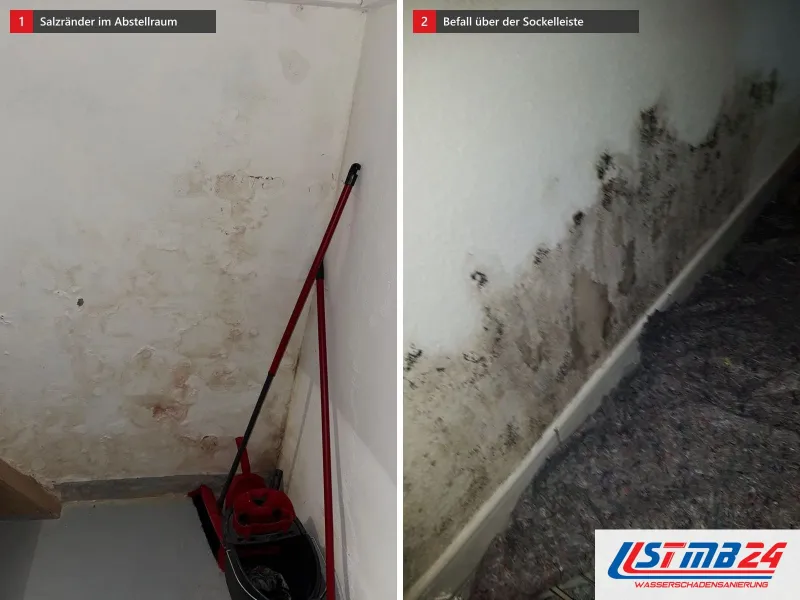 Zwei Ansichten: Abstellraum mit fleckiger Wand, Schimmel und Salzrändern bis auf Hüfthöhe, daneben schwarzer Schimmel am Wandfuß über der Sockelleiste