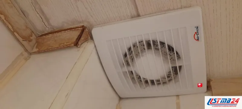 Elektroinstallation im Bad: verschmutzter Badlüfter an der Holzdecke, die rote Betriebsanzeige leuchtet, die Leisten daneben verfärbt