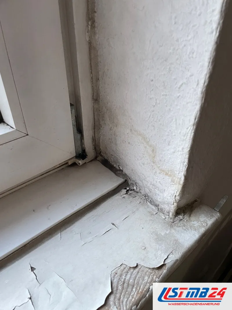 Fenster und Türen: Fensterbank innen mit abplatzender Farbe, gelbliche Wasserränder an der Laibung, der Rahmenanschluss dunkel