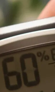 Feuchtigkeitsmessung: Hygrometer in der Hand zeigt 60 Prozent Luftfeuchte im Raum