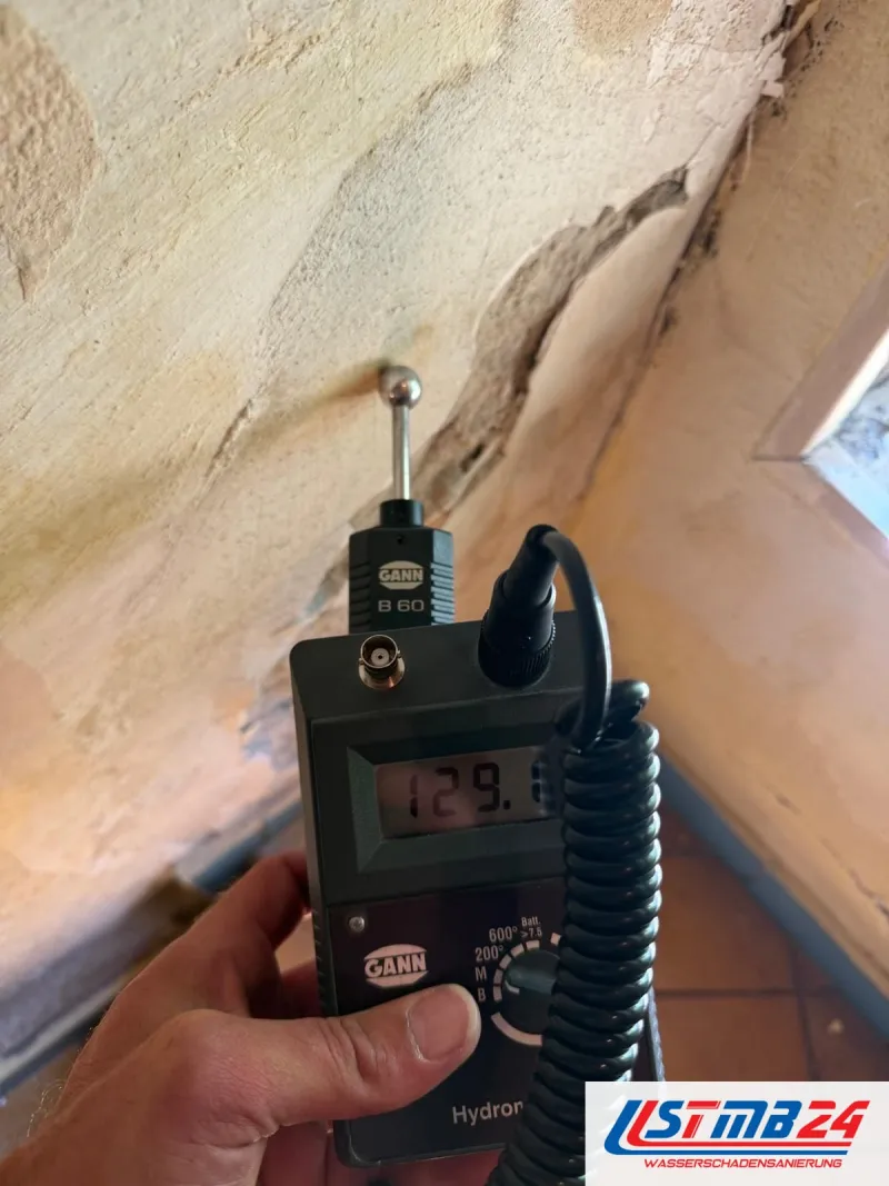 Feuchtigkeitsmessung im Treppenhaus: Kugelsonde an der Wand mit Wasserrändern und abgeplatzter Farbe, Anzeige 129