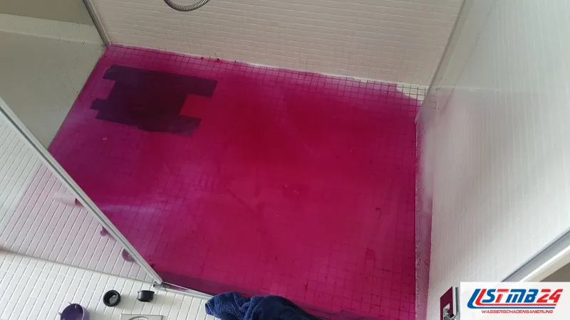 Leckageortung in der Dusche: pink gefärbtes Wasser steht auf dem Mosaikboden, die Glastür ist geöffnet
