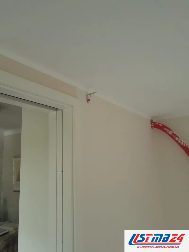 Maler- und Lackierarbeiten: frisch gestrichene Wand bis an Decke und Türzarge, in der Ecke noch ein rot-weißer Schlauch