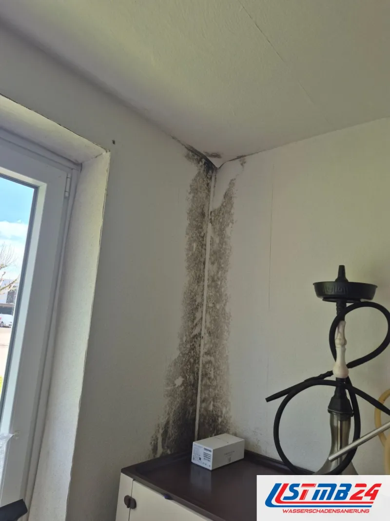 Schimmelpilzsanierung nötig: dunkler Befall zieht sich in der Ecke neben dem Fenster von der Decke bis zur Kommode