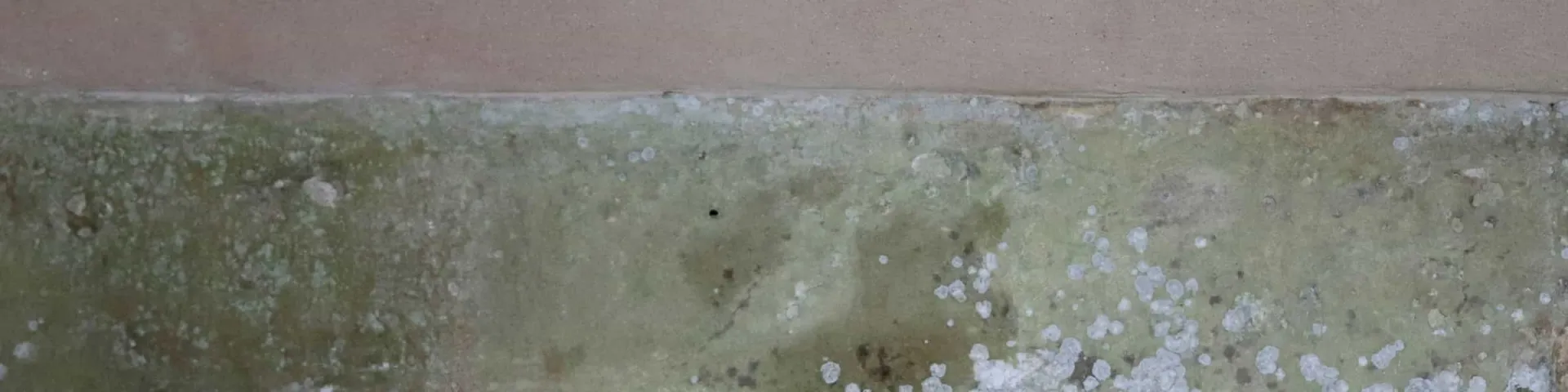 Schimmelpilzsanierung: Schimmelbefall im unteren Bereich einer feuchten Wand