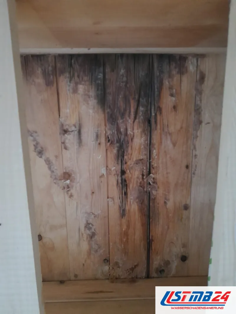 Schimmelpilzsanierung am Dach: Holzschalung mit dunklen Wasserläufen und Schimmelflecken, die von oben nach unten ziehen