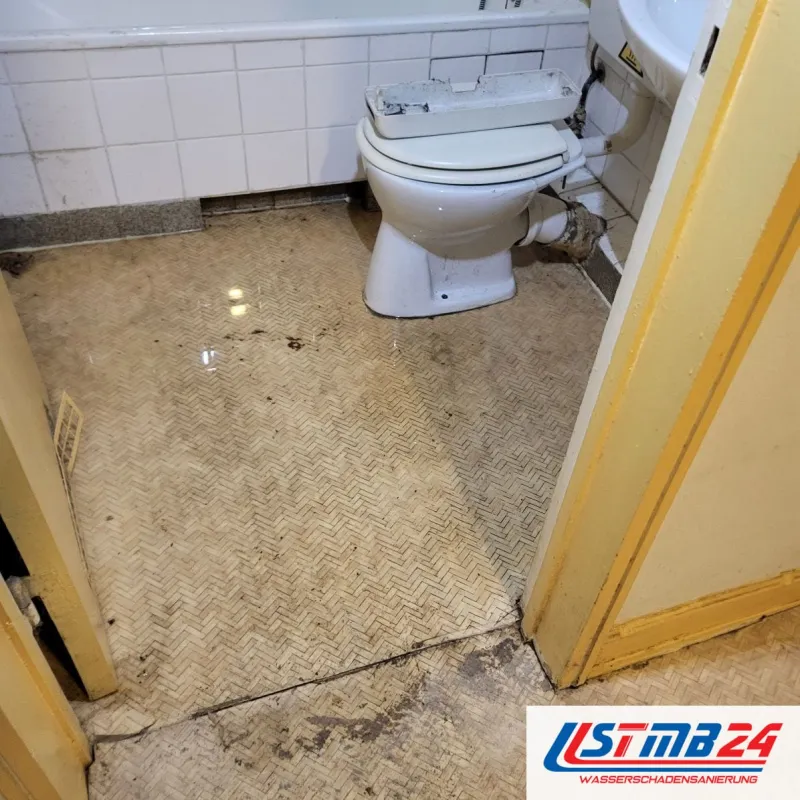 Sofortmaßnahmen bei Wasserschäden: Pfützen vor dem WC auf Kunststoffboden im Flechtmuster, an der Schwelle aufgeschnitten