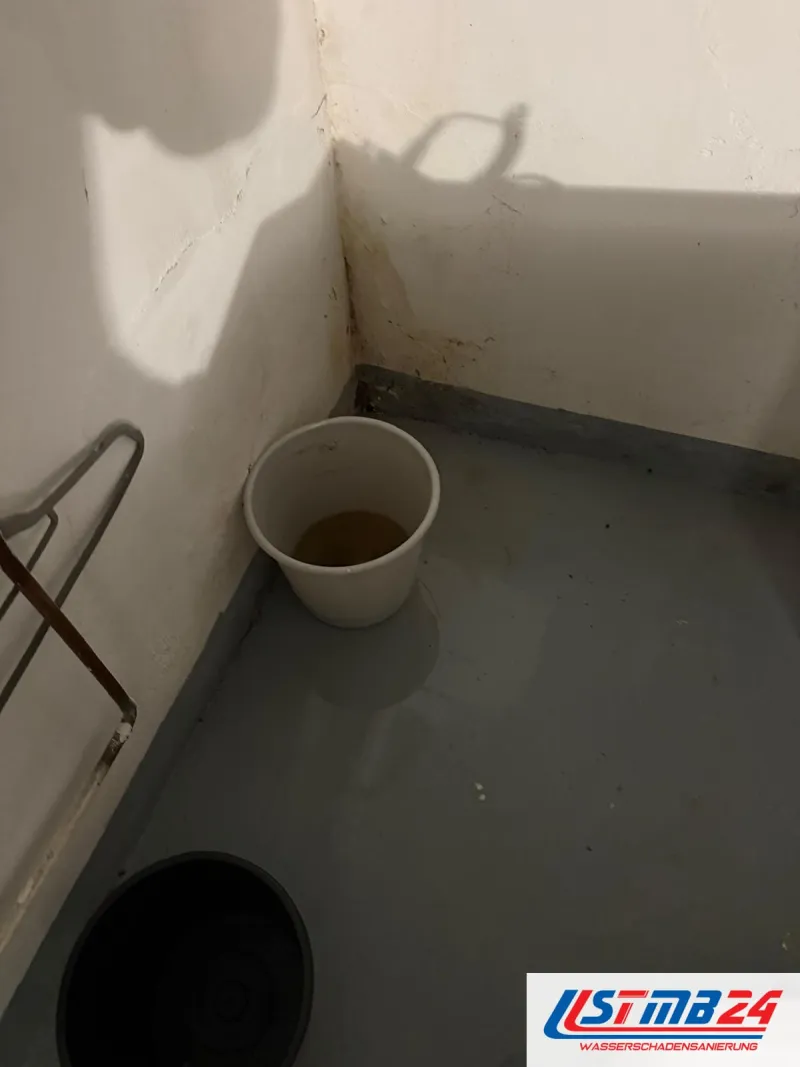 Sofortmaßnahmen bei Wasserschäden: weißer Eimer in der Kellerecke fängt braunes Wasser auf, die Wand darüber ist fleckig
