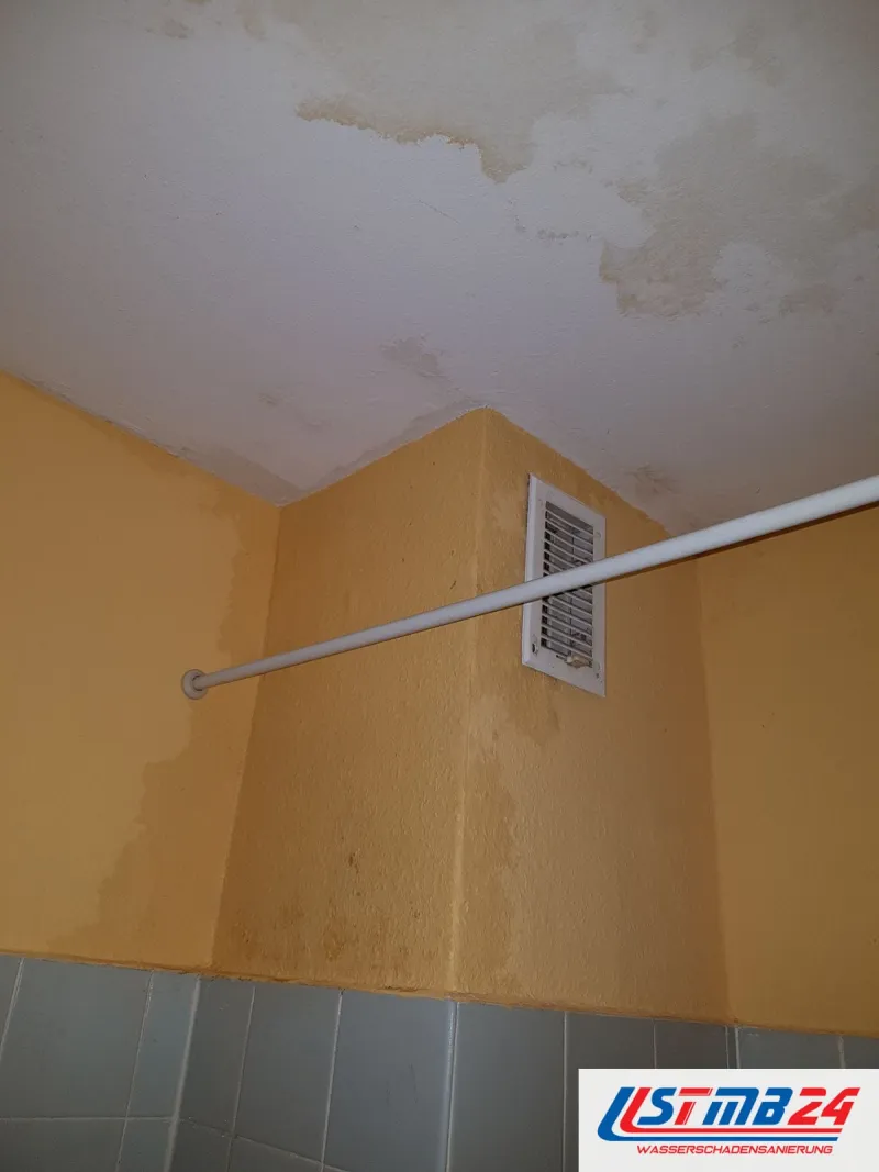 Badsanierung in Geesthacht: Bad mit gelb gestrichenen Wänden über grauen Fliesen, Wasserränder an der Decke, Lüftungsgitter und Duschstange