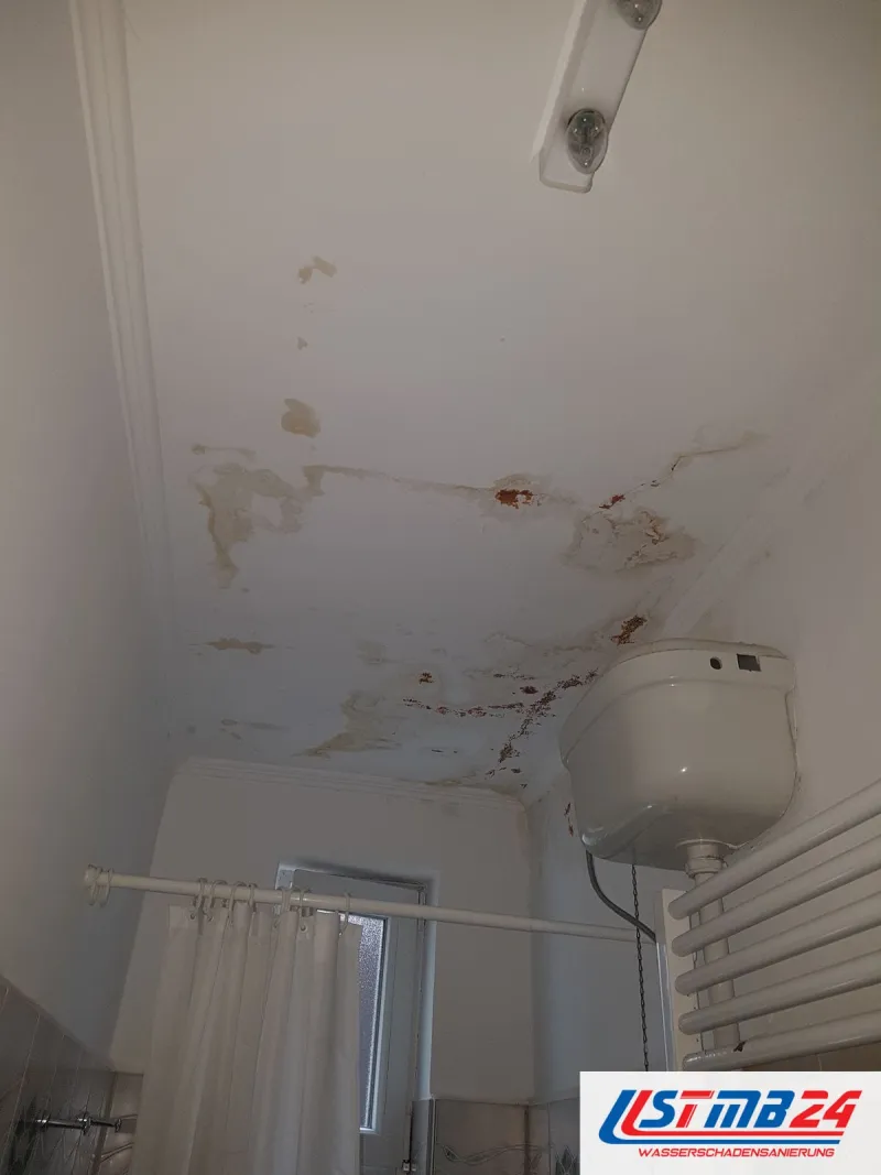 Badsanierung in Geesthacht: Bad vor der Sanierung, Decke mit abblätternder Farbe und braunen Flecken, hoch hängender Spülkasten, Duschvorhang