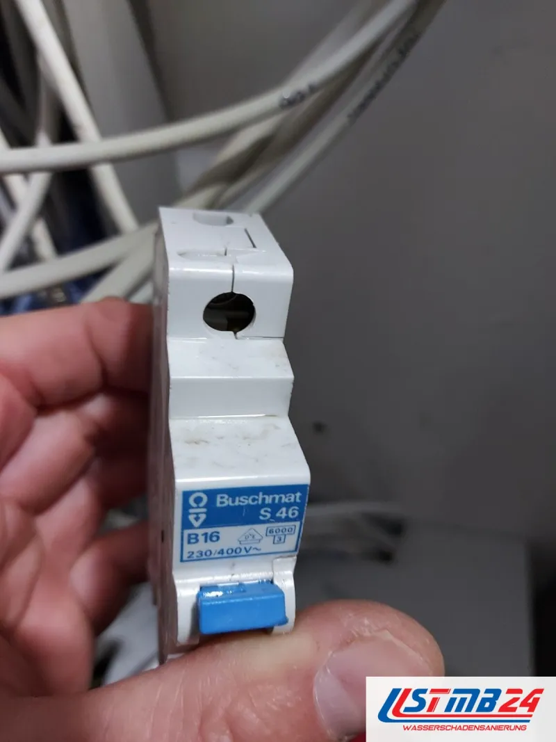 Elektriker in Geesthacht: ausgebauter Leitungsschutzschalter Buschmat S 46, B16, in der Hand