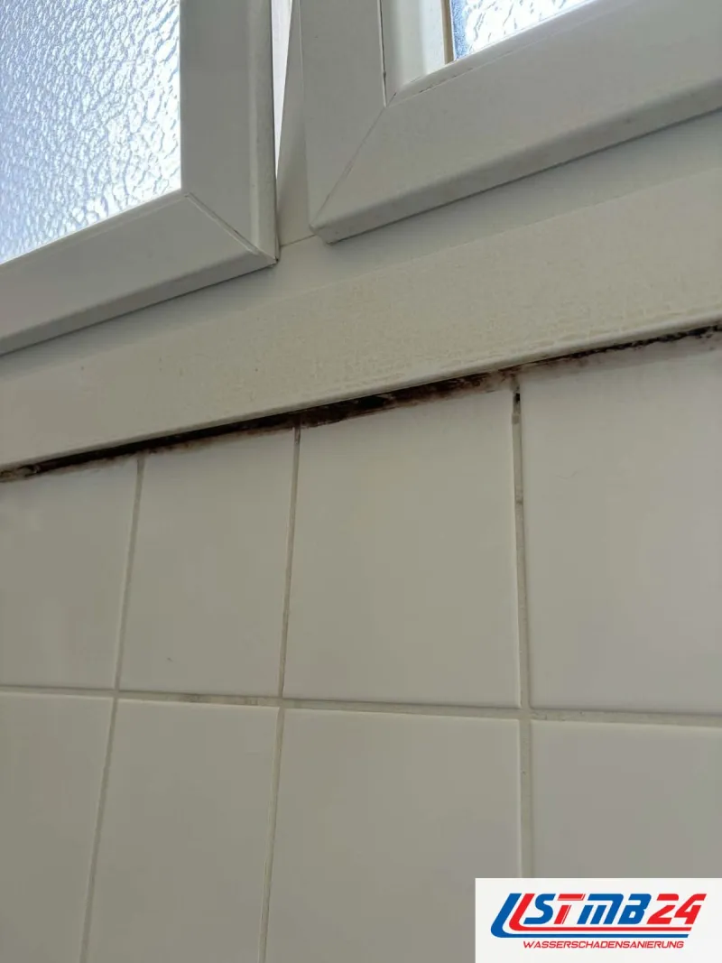 Fliesenleger in Geesthacht: dunkel verfärbte Fuge unter der Fensterbank im weißen Fliesenspiegel des Bads