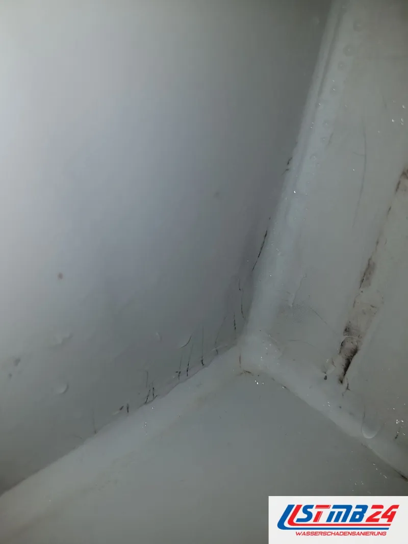 Fliesenleger in Geesthacht: Ecke einer Duschtasse, in der Silikonfuge zur Wand schwarze Stellen und ein Riss