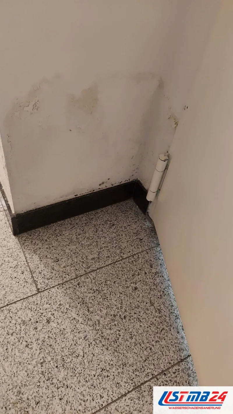 Wasserschaden Notdienst in Geesthacht: Treppenhauswand mit gelblichen Flecken und abgeplatzter Farbe über dunkler Sockelleiste